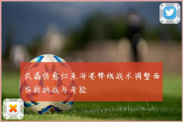武磊伤愈归来海港锋线战术调整面临新挑战与考验
